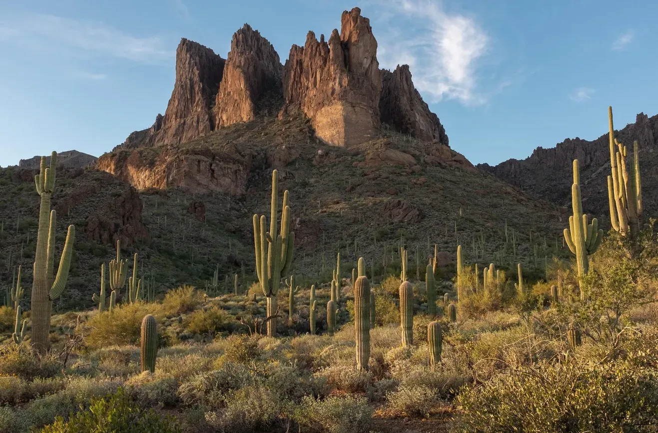 Sonoran Desert