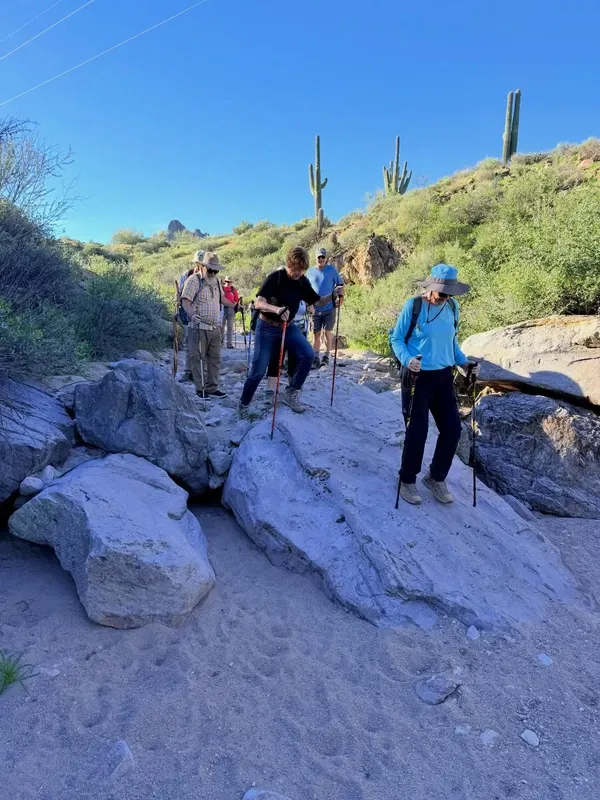 Sonoran Desert visitor photo 6